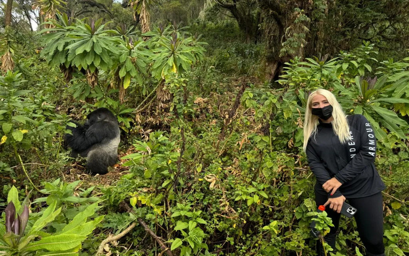 gorillas in Rwanda, Rwanda gorillas, gorilla trekking Rwanda, Rwanda gorilla trekking, mountain gorillas Rwanda, mountain gorillas in Rwanda, Rwanda gorilla safari, Rwanda gorilla tours, Rwanda gorilla trekking tours, Rwanda gorilla safari packages, gorilla trekking in Rwanda, gorilla safari Rwanda, Volcanoes National Park gorillas, Volcanoes National Park gorilla trekking, Rwanda mountain gorilla trekking, Rwanda gorilla permit, Rwanda gorilla permit cost, gorilla trekking Rwanda price, Rwanda gorilla trekking cost, gorilla trekking from Kigali, Rwanda gorilla tours from Kigali, Kigali gorilla trekking tour, one day Rwanda gorilla trek, one day gorilla trekking Rwanda, one day gorilla tour from Kigali, 2 day Rwanda gorilla safari, 3 day Rwanda gorilla safari, 5 day Rwanda gorilla safari, 7 day Rwanda gorilla safari, private Rwanda gorilla safari, private gorilla trekking Rwanda, luxury gorilla trekking Rwanda, luxury Rwanda gorilla safari, affordable Rwanda gorilla safari, cheap gorilla trekking Rwanda, all inclusive Rwanda gorilla safari, Rwanda gorilla holiday, Rwanda gorilla vacation, Rwanda gorilla adventure, African gorilla safari, African gorilla trekking, mountain gorilla safari Africa, best gorilla trekking Africa, best gorilla safari Rwanda, best time for gorilla trekking Rwanda, Rwanda gorilla trekking dry season, Rwanda gorilla trekking rainy season, Rwanda gorilla trekking peak season, gorilla trekking Rwanda December, gorilla trekking Rwanda June, gorilla trekking Rwanda July, gorilla trekking Rwanda August, gorilla trekking Rwanda September, Rwanda gorilla trekking packing list, what to wear gorilla trekking Rwanda, Rwanda gorilla trekking difficulty, Rwanda gorilla trekking fitness, gorilla trekking Rwanda seniors, Rwanda gorilla trekking age limit, Rwanda gorilla trekking rules, Rwanda gorilla photography safari, gorilla trekking photography Rwanda, gorilla families Rwanda, habituated gorillas Rwanda, silverback gorillas Rwanda, baby gorillas Rwanda, gorilla conservation Rwanda, mountain gorilla conservation Rwanda, responsible gorilla tourism Rwanda, Rwanda primate safari, Rwanda gorilla and golden monkey safari, golden monkey trekking Rwanda, Rwanda gorilla and chimpanzee safari, Rwanda chimpanzee trekking, Rwanda gorilla and wildlife safari, Rwanda gorilla and Big Five safari, Rwanda gorilla and Akagera safari, Akagera and gorilla trekking Rwanda, Rwanda gorilla and Lake Kivu safari, Lake Kivu gorilla safari, Rwanda honeymoon gorilla safari, Rwanda gorilla safari for couples, Rwanda gorilla safari for families, Rwanda gorilla trekking solo travelers, Rwanda gorilla safari photographers, Rwanda gorilla trekking for seniors, Rwanda vs Uganda gorilla trekking, Uganda vs Rwanda gorilla safari, Uganda gorilla trekking from Kigali, Kigali to Bwindi gorilla safari, Rwanda Uganda gorilla safari, East Africa gorilla safari, Rwanda primate tours, Volcanoes National Park safari, Rwanda safari and gorilla trekking, Rwanda wildlife and gorilla safari, Rwanda gorilla lodge, gorilla lodges Rwanda, lodges near Volcanoes National Park, Rwanda gorilla trekking accommodation, Rwanda gorilla tour operator, Rwanda gorilla trekking company, and book Rwanda gorilla trekking