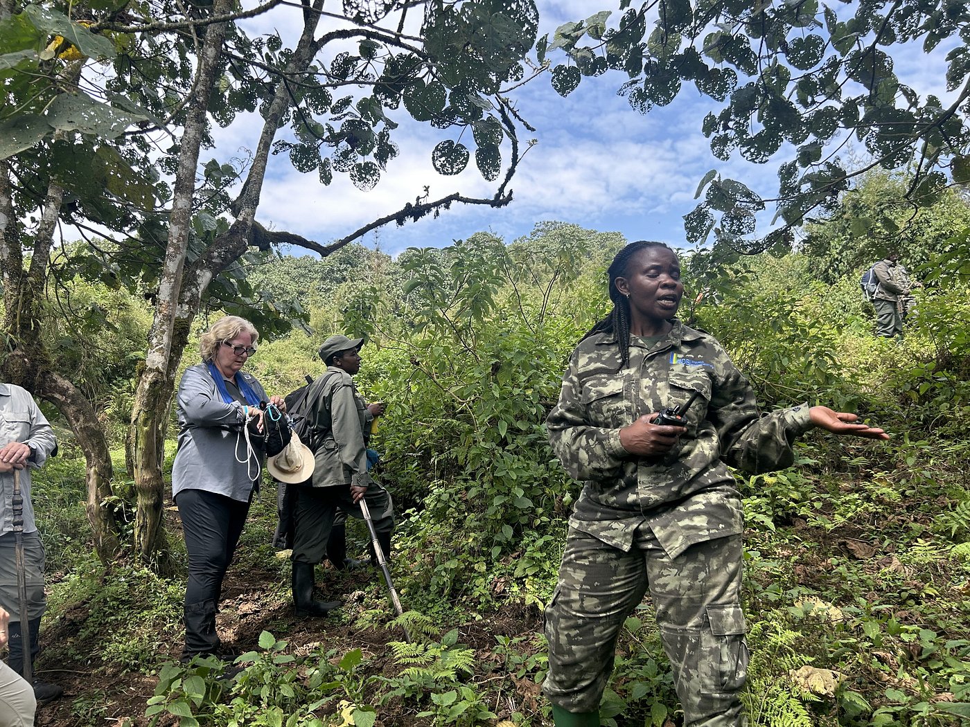 Gorilla Trekking Regulations in Rwanda and Uganda
