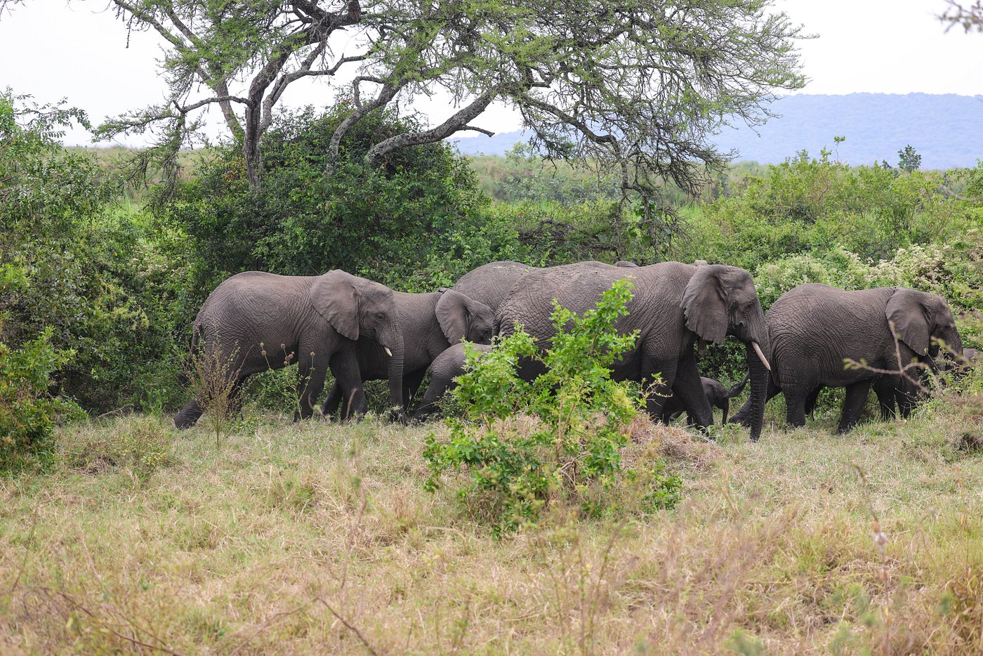 Popular Rwanda Attractions