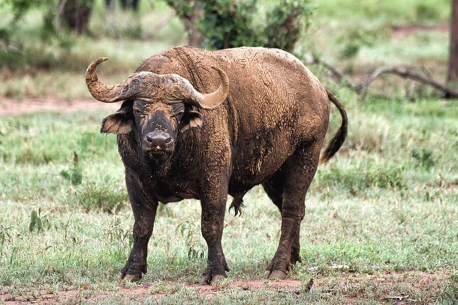 Popular Rwanda Attractions