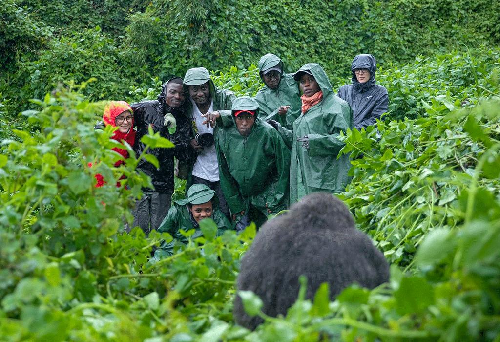 Akagera Safari