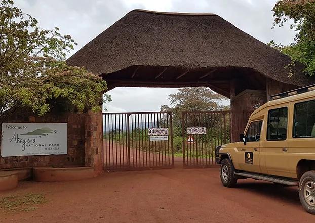 visit rwanda safaris
