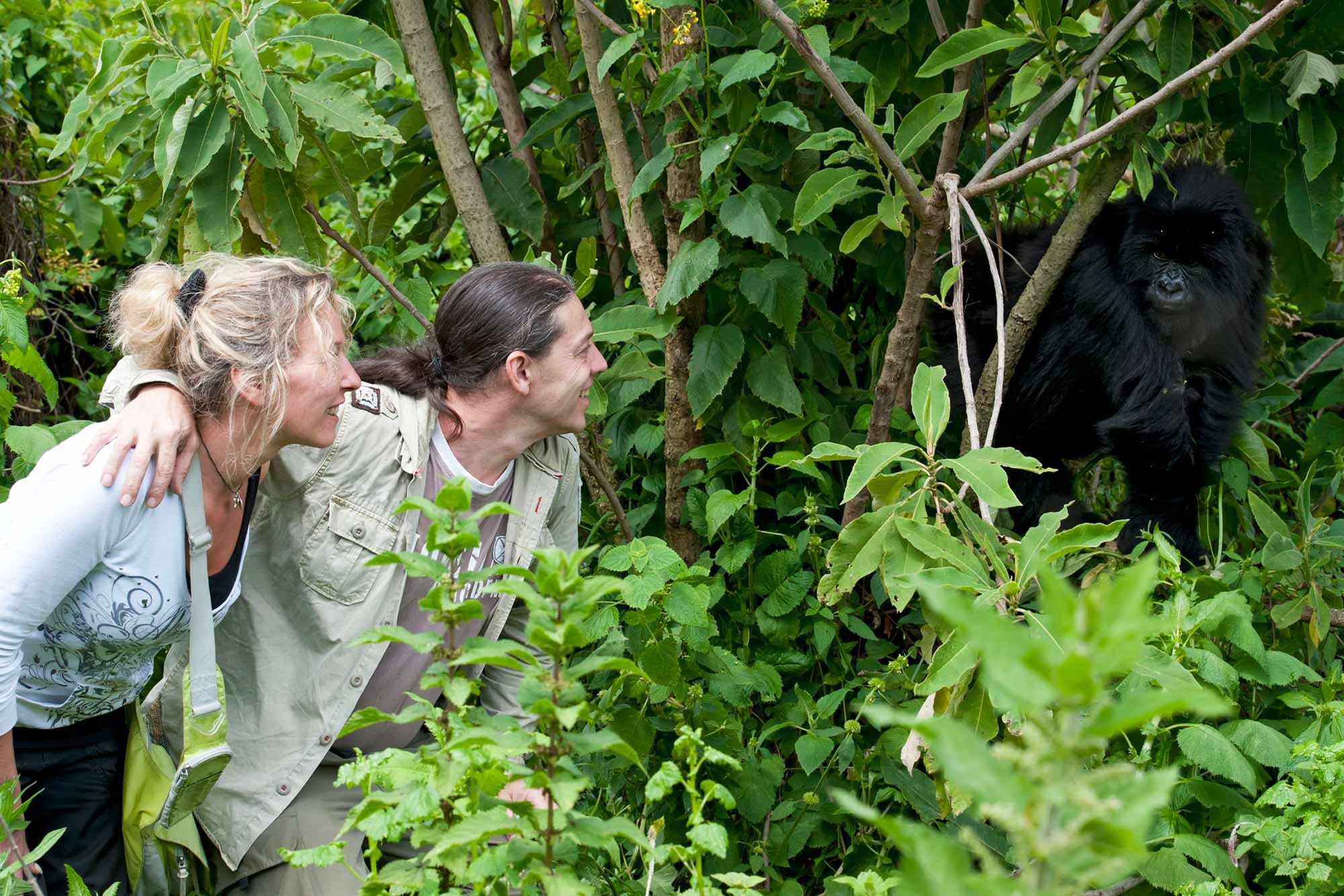 Experiences to Combine with Gorilla Trekking in Rwanda and Uganda, visit rwanda safaris