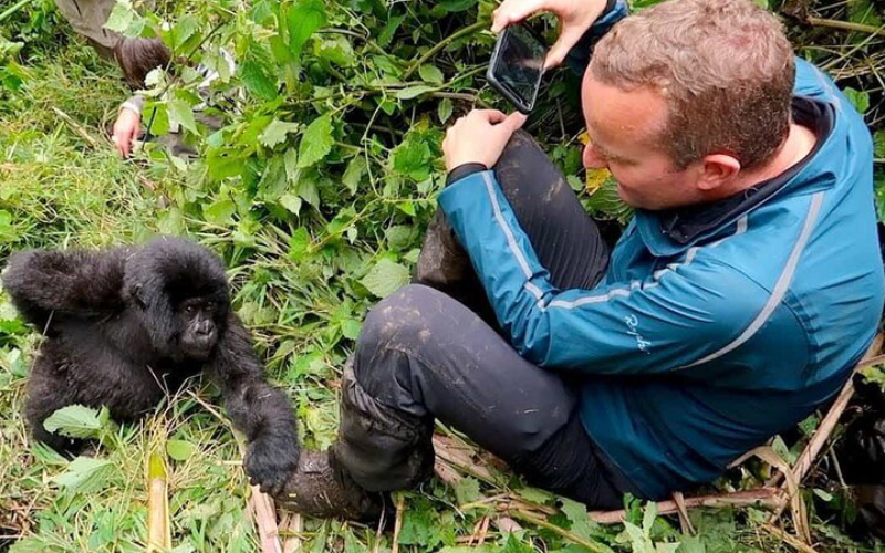 Gorilla Families in Rwanda, 9 Days Rwanda Tour & Uganda Gorilla Trekking
