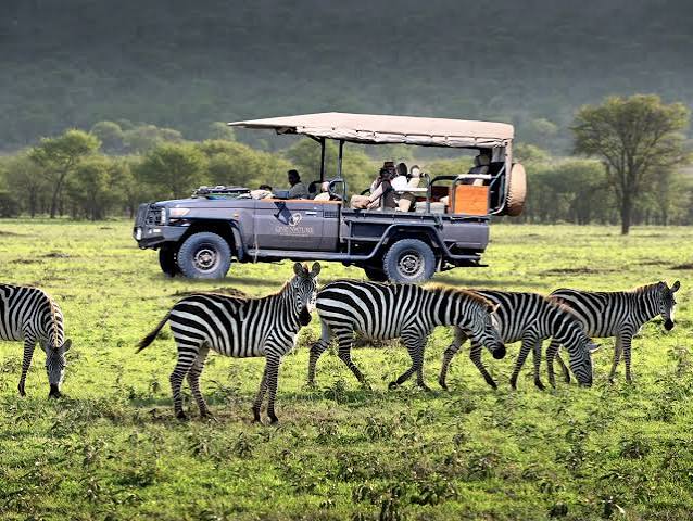 Wildlife Safaris in Rwanda, uganda tourism, Big 5 Safaris in Uganda, Ultimate Wildlife Safari Guide 2026, big five safaris in uganda, uganda big five