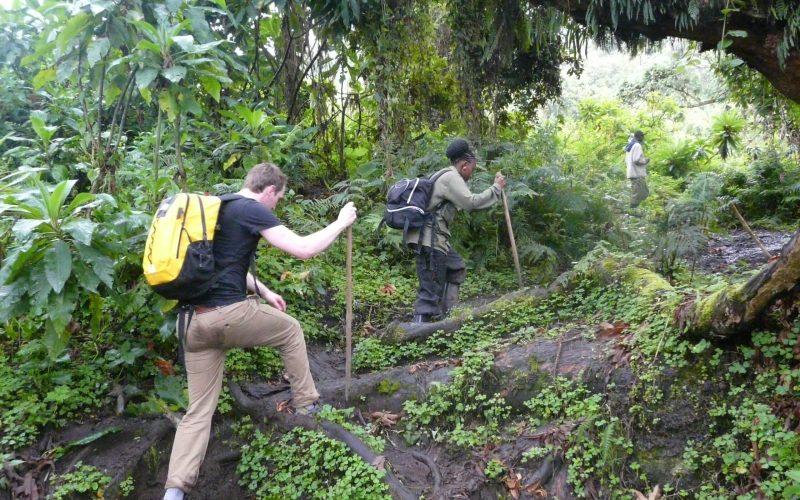 DIAN-FOSSEY-TOMB-HIKE