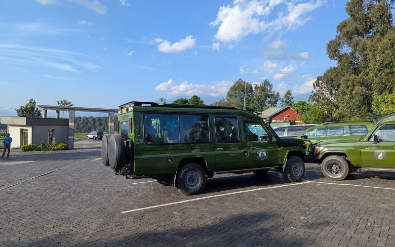2 Days Gorilla Trekking in Volcanoes National Park