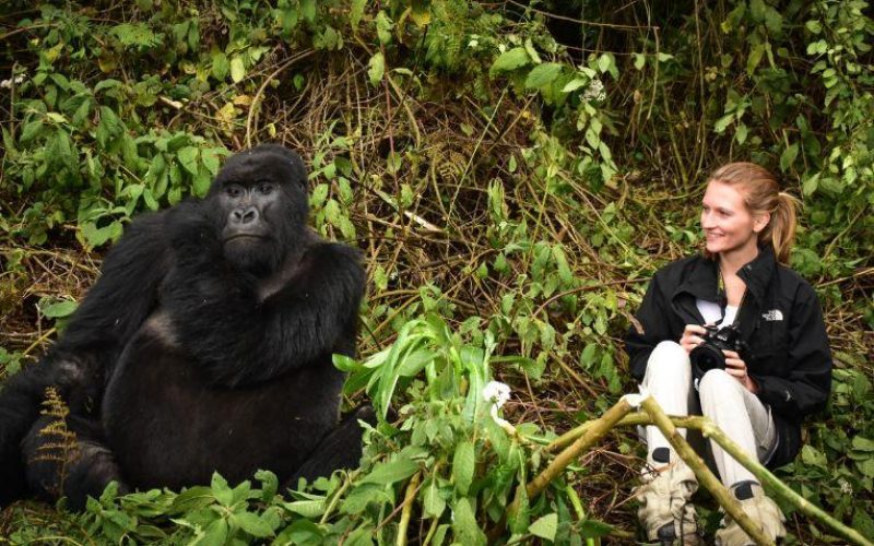 4 Days Gorilla Trekking in Rwanda and Culture Tour
