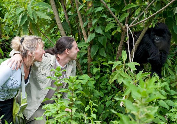Experiences to Combine with Gorilla Trekking in Rwanda and Uganda