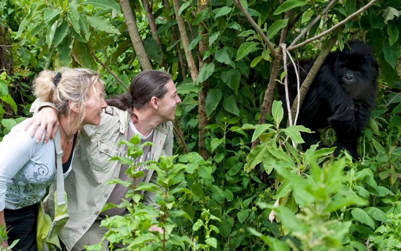 Experiences to Combine with Gorilla Trekking in Rwanda and Uganda, uganda tourism, rwanda tourism, 4 Days Gorilla Trekking in Rwanda and Culture Tour